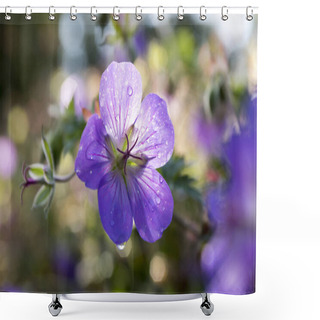 Personality  Cranesbills Group Of Flowers, Geranium Rozanne In Bloom, Green Leaves, Bunch Of Flowers Shower Curtains
