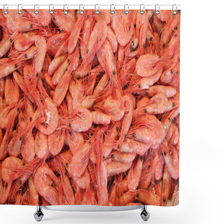 Personality  Shrimps Shower Curtains