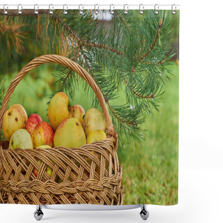 Personality  Basket Full Of Apples Outdoors Shower Curtains