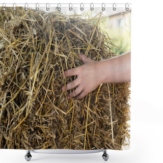 Personality  Cropped View Of Farmer Touching Dry Hay On Farm Shower Curtains