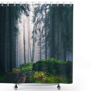 Personality  Mysterious Foggy Forest, Light Coming Through Trees, Stones, Moss, Wood Fern, Spruce Trees, Fog, Mist. Gloomy Magical Landscape At Autumn/fall. Jeseniky Mountains, Eastern Europe, Moravia.  Shower Curtains