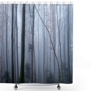 Personality  Mysterious Dark Beech Forest In Fog Shower Curtains