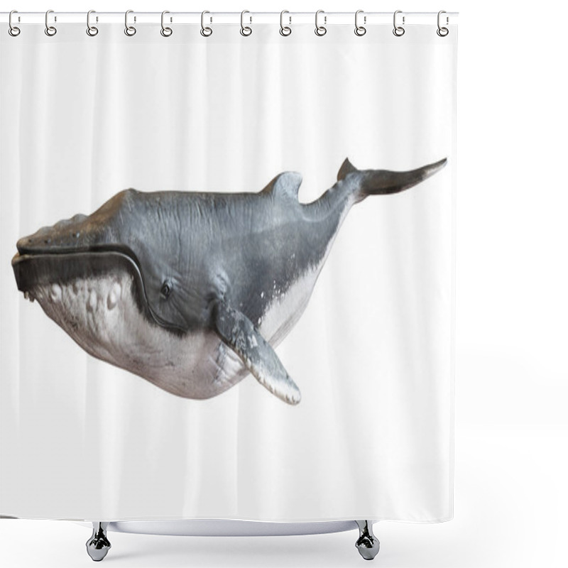 Personality  Humpback whale on an isolated white background.  shower curtains