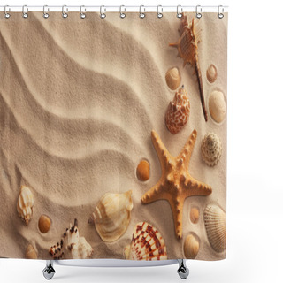 Personality  Sea Shells With Sand Shower Curtains