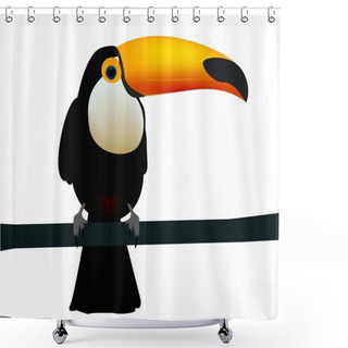 Personality  Toucan, Exotic Birds, Bird Of Paradise Shower Curtains