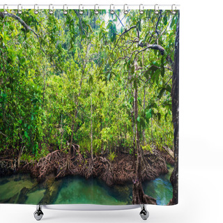 Personality  Ecosystem Mangrove Tropical Forest Green Scene Background Shower Curtains