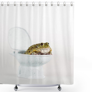 Personality  Funny Green Frog On Small Toilet Bowl Isolated On White Shower Curtains