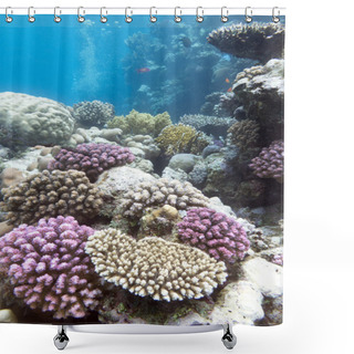Personality  Colorful Coral Reef With Hard Violet Corals - Underwater Shower Curtains