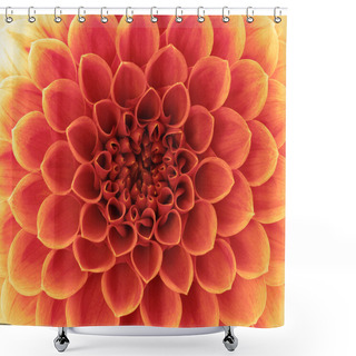 Personality  Abstract Flower Shower Curtains