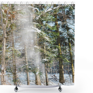 Personality  Snowfall In Pine Winter Forest With Sunshine Shower Curtains