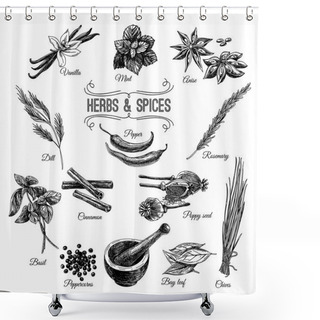 Personality  Vector Hand Drawn Set With Herbs Spices. Illustrations Collectio Shower Curtains