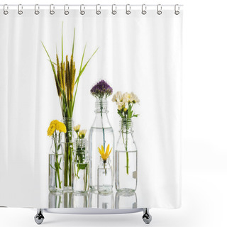 Personality  Glass Jars With Flowers And Plants Isolated On White, Alternative Medicine Concept Shower Curtains
