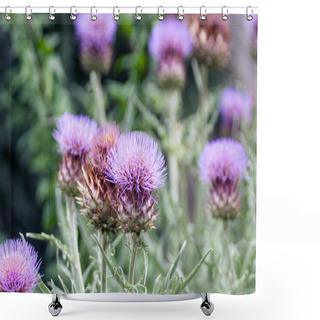 Personality  Thistle Flower Shower Curtains
