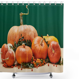 Personality  Autumnal Decoration With Pumpkins, Firethorn Berries And Green Leaves On Table Shower Curtains