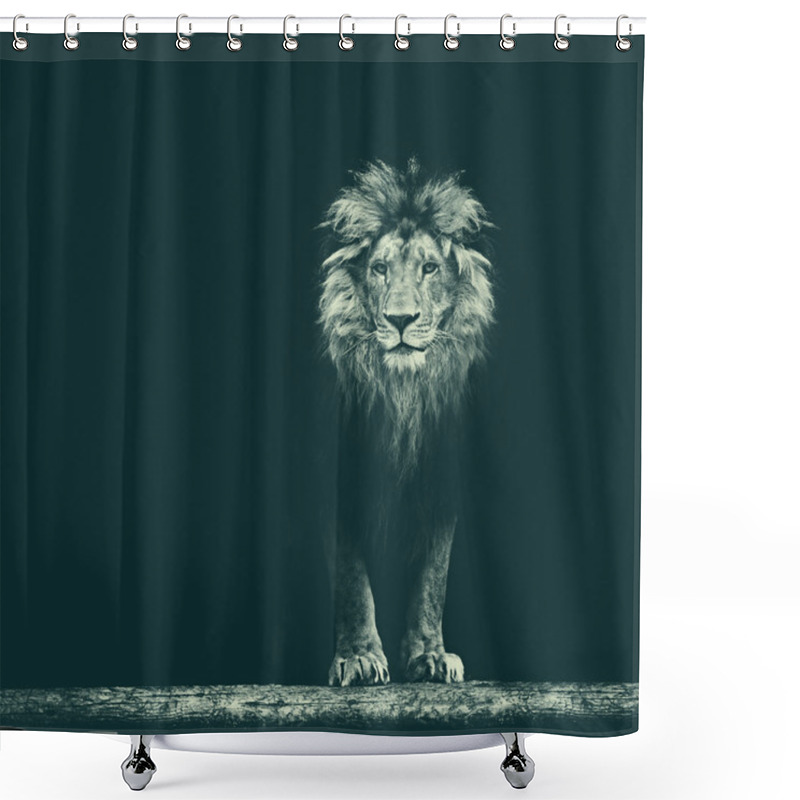 Personality  Portrait Of Beautiful Lion Shower Curtains
