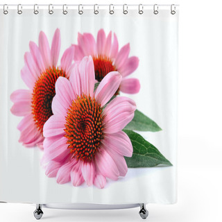 Personality  Echinacea Flowers Close Up  Shower Curtains