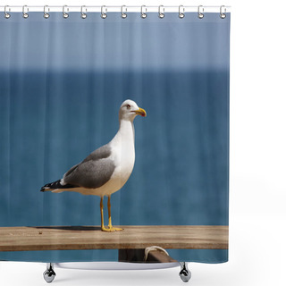 Personality  Seagull Shower Curtains