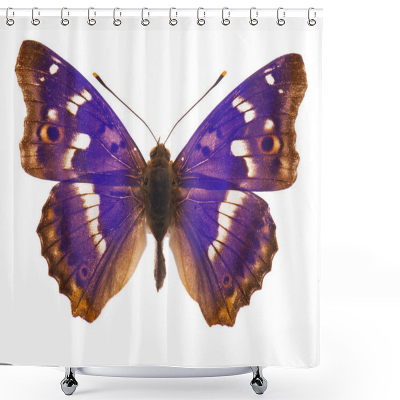 Personality  Purple Emperor Butterfly Isolated Shower Curtains