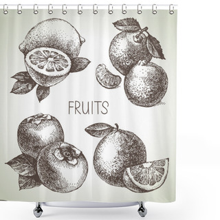 Personality  Hand Drawn Sketch Fruits Set. Shower Curtains