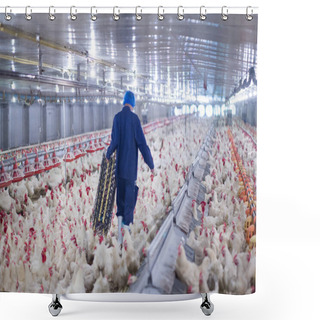 Personality  Poultry Farm With Chicken. Husbandry, Housing Business For The Purpose Of Farming Meat, White Chicken Farming Feed In Indoor Housing. Live Chicken For Meat And Egg Production Inside A Storage. Shower Curtains