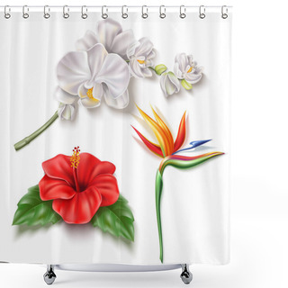 Personality  Vector Realistic Tropical Flower 3d Hibiscus Orhid Shower Curtains