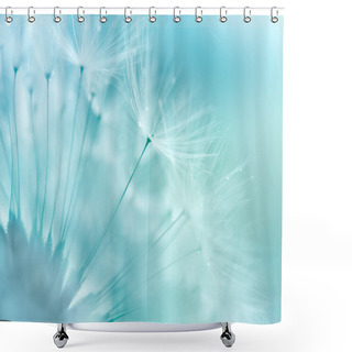 Personality  Dandelion Closeup Shower Curtains