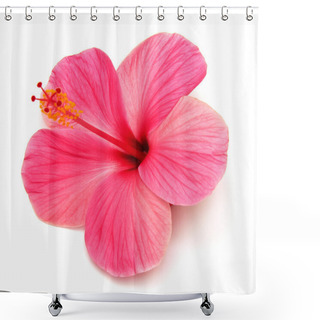 Personality  Pink Hibiscus  Shower Curtains