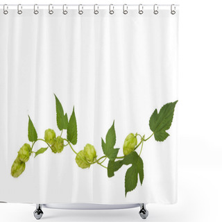 Personality  Hops Plant Shower Curtains