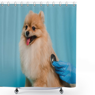 Personality  Cropped View Of Veterinarian In Latex Glove Examining Dog With Stethoscope Isolated On Blue Shower Curtains