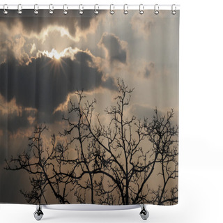 Personality  Radiant Sun, Heavy Clouds, Tree Shower Curtains
