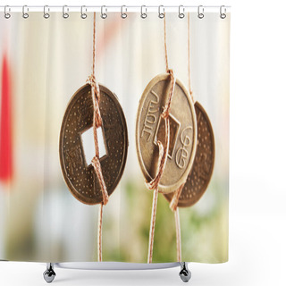 Personality  Feng Shui Coins Shower Curtains