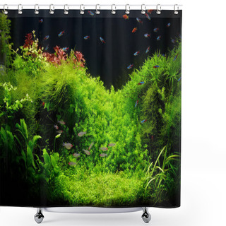 Personality  A Beautiful Planted Tropical Freshwater Aquarium With Bright Blue Neons And Rummy Nosed Tetra Fishes Shower Curtains