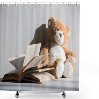Personality  Teddy Bear And Book Shower Curtains