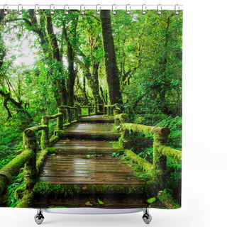 Personality  Beautiful Rain Forest At Ang Ka Nature Trail In Doi Inthanon Nat Shower Curtains