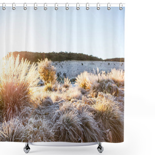 Personality  Sunlight Shower Curtains