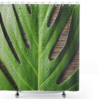 Personality  Beautiful Green Bright Monstera Deliciosa Leaf( Also Known As Swiss Cheese Plant) With Water Drops Indoors, Contrast Light, Dark Brown Wooden Background. Copy Space. Shower Curtains