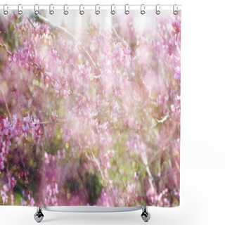 Personality  Double Exposure Of Spring Cherry Blossoms Tree. Abstract Background With Glitter Overlay Shower Curtains