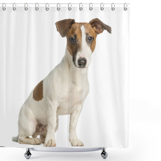 Personality  Jack Russell Terrier, Sitting And Looking At The Camera, Isolat Shower Curtains
