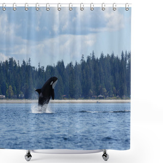 Personality  Jumping Orca Whale  Shower Curtains
