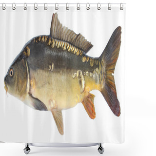 Personality  Fish Mirror Carp. Isolated Fish Without Scales Shower Curtains
