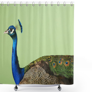 Personality  Peacock Shower Curtains