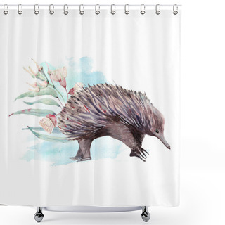 Personality  Australian Animal Illuatration. Aussie Animals Watercolor Illustration Shower Curtains
