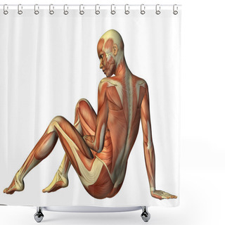 Personality  3D Rendering Muscle Seated Woman From Behind Shower Curtains