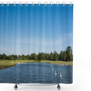 Personality  Flock Of White Swans Swimming In Lake Near Green Park  Shower Curtains