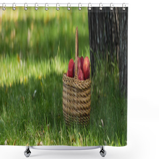 Personality  Red Fresh Apples In Wicket Basket On Green Lawn With Fresh Grass, Banner  Shower Curtains