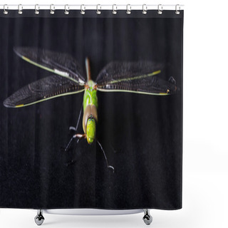 Personality   Green Dragonfly On A Black Background Shower Curtains