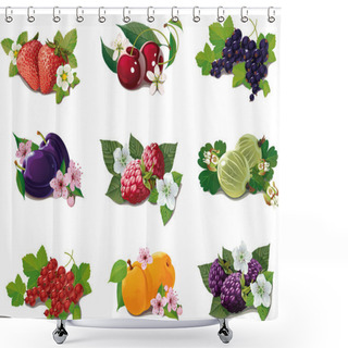 Personality  Set Of Ripe Fruits Shower Curtains