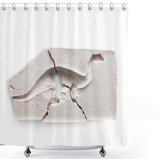 Personality  Moulage Fossilized Dinosaur Footprint Shower Curtains