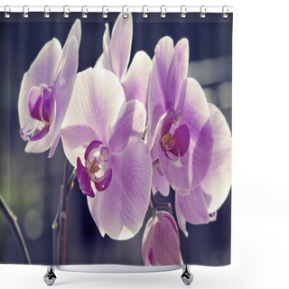 Personality  Pink Orchid Shower Curtains