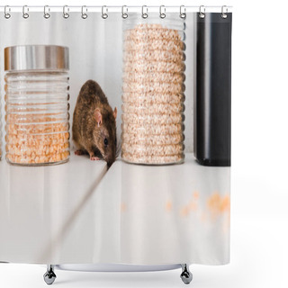 Personality  Selective Focus Of Small Rat Near Jars With Peas And Barley In Jars  Shower Curtains